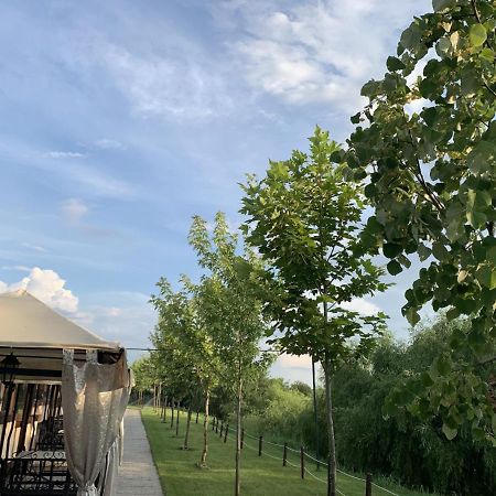 Hanul Cocosul Vitanesti Экстерьер фото