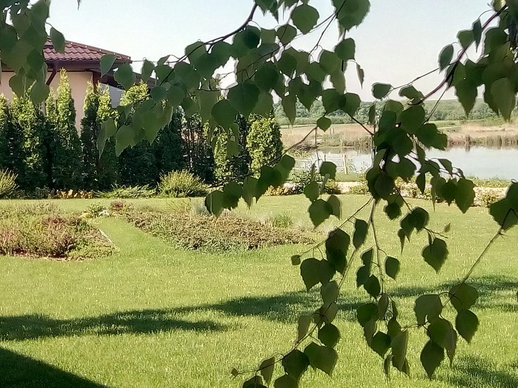 Hanul Cocosul Vitanesti Экстерьер фото